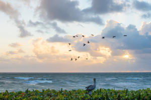 Jupiter Inlet Colony - Residential