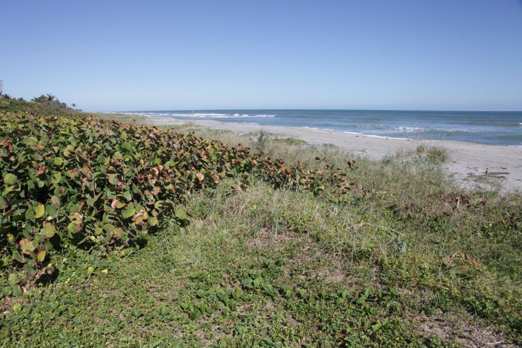 Jupiter Island - Residential