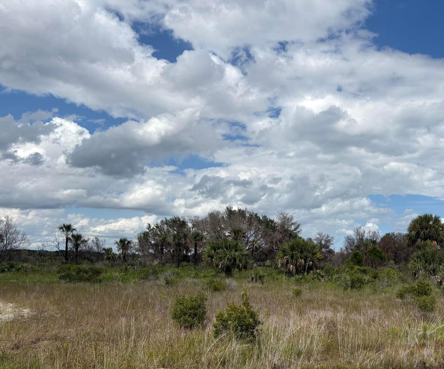 1.25 acres. Endless potential in a quiet, rural Okeechobee setting. No utilities (septic and well would be required if developed)