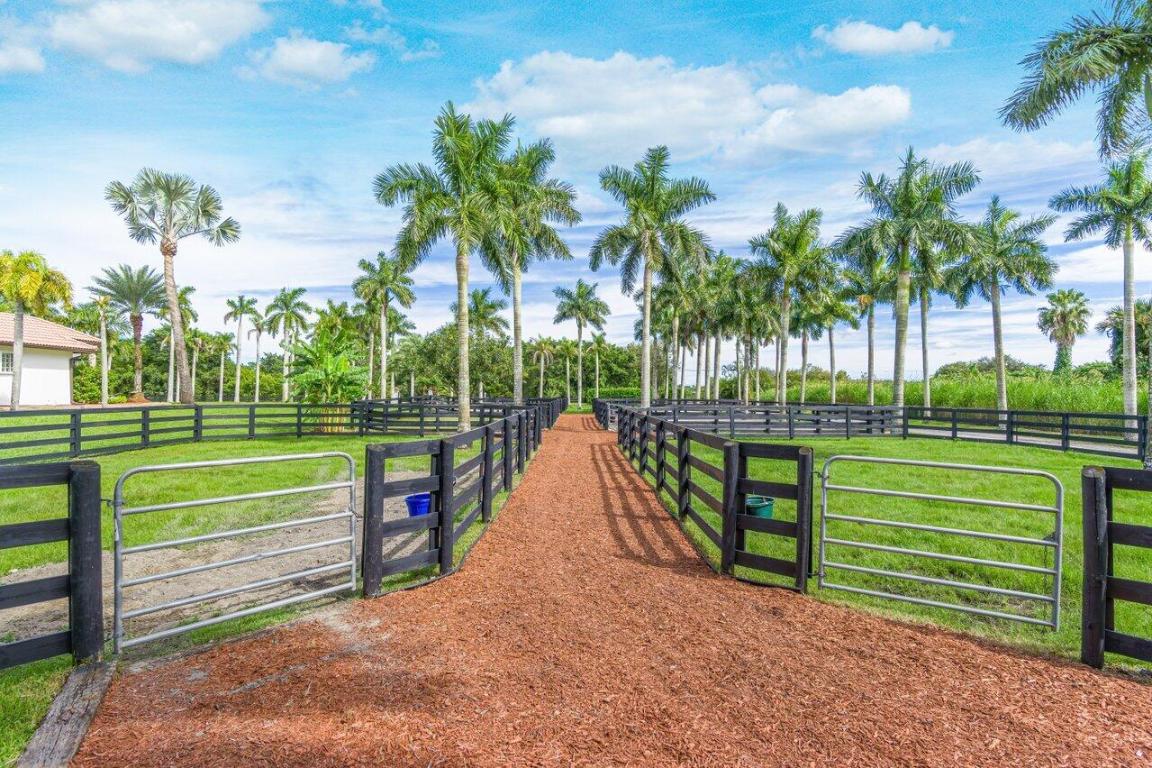 Rustic Ranches - Land