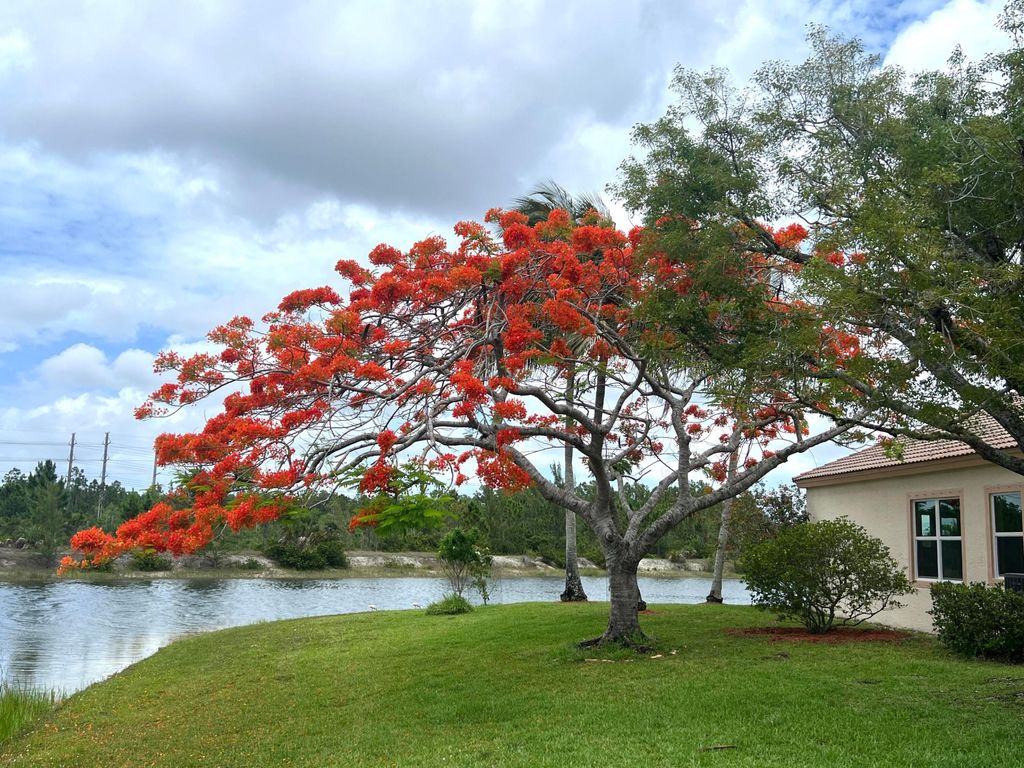 Photo of 4552 N San Andros, West Palm Beach, FL 33411 (MLS # B26007643)