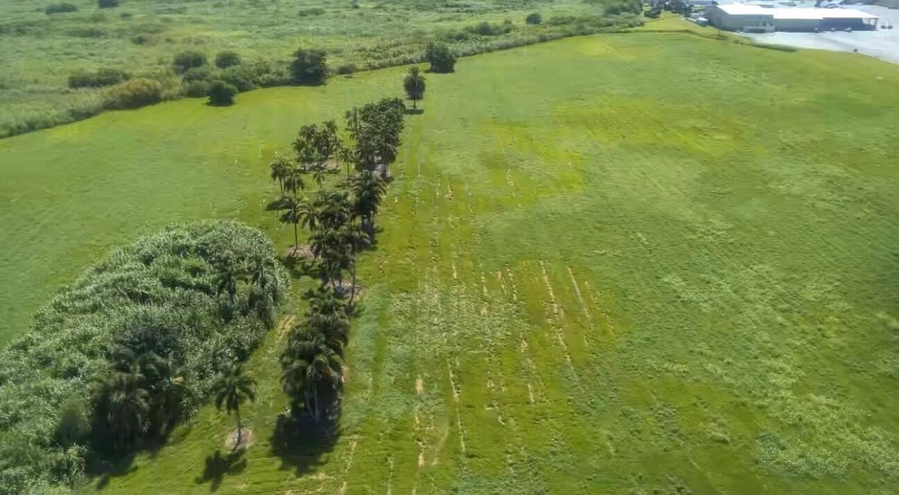 58-36-44-11-00-000-7250 - Commercial Sale