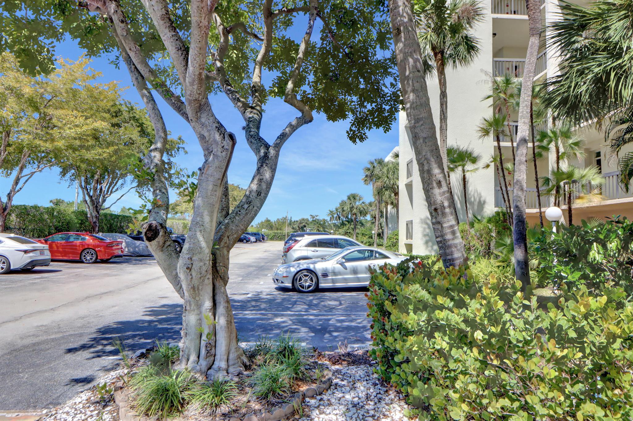 LANDS OF THE PRESIDENT COND 8-A & 8-B - Residential