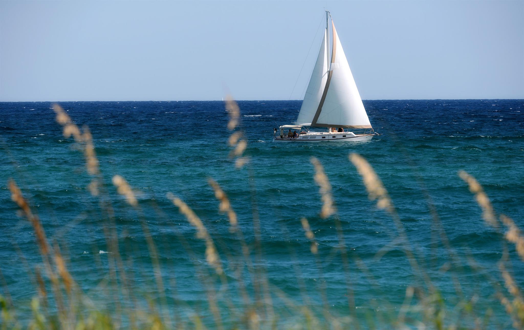 TELARO AT SOUTHERN GROVE - Residential