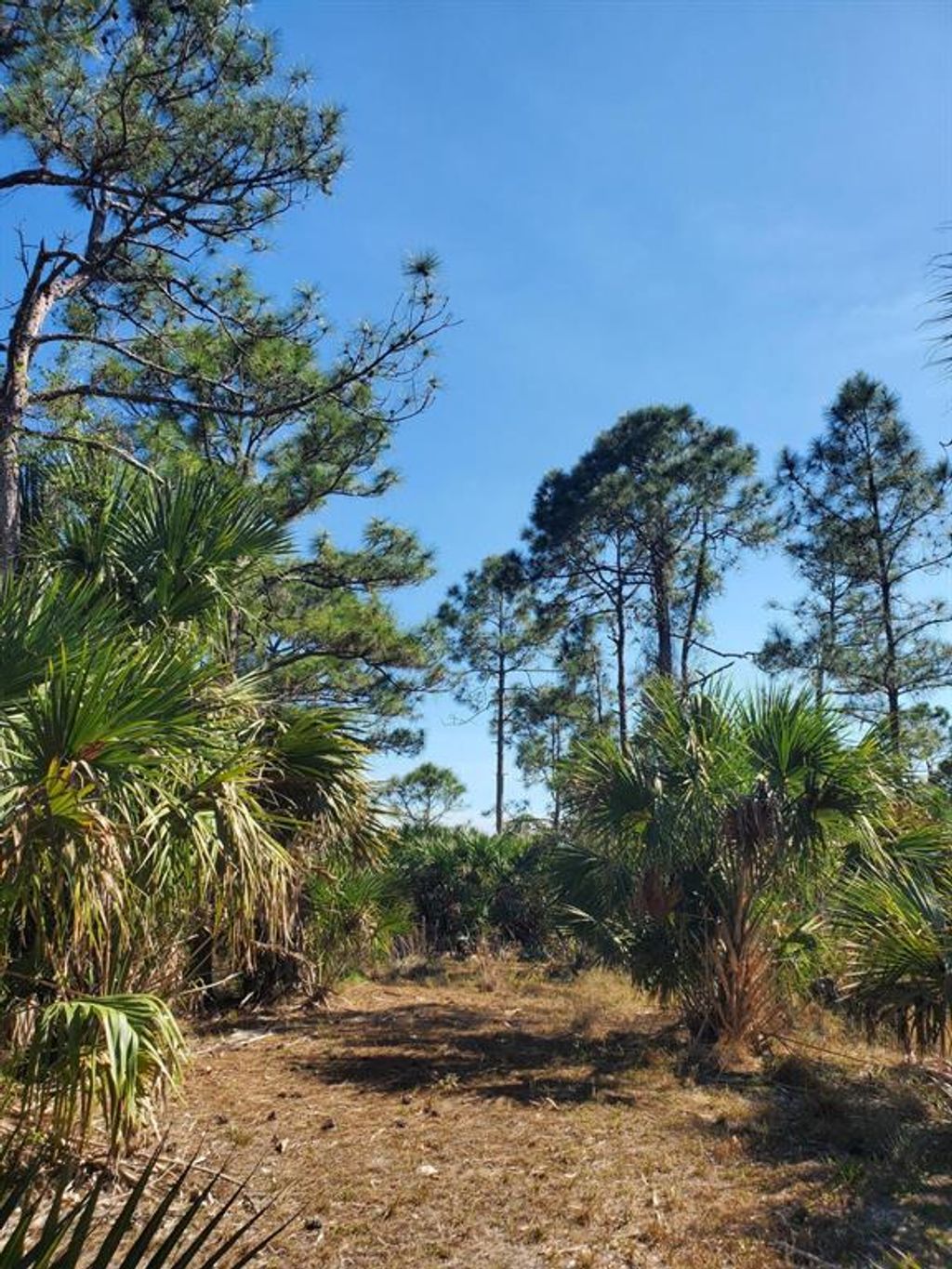 Photo of 24801 SW 95th Street, Indiantown, FL 34956 (MLS # R10874814)