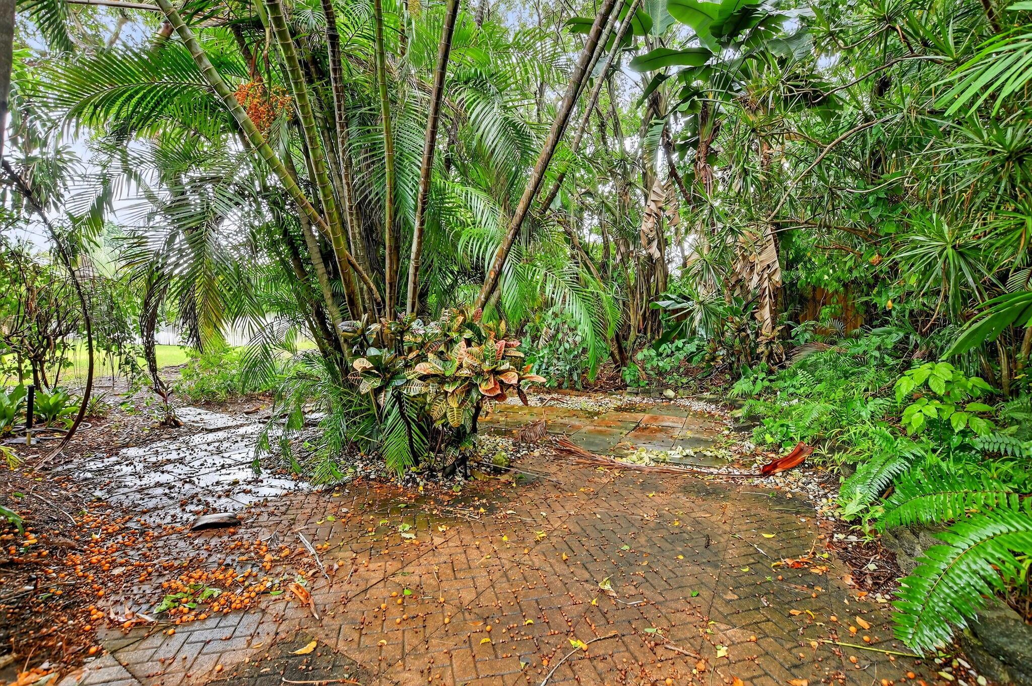 CANARY PALM CLUB - Residential