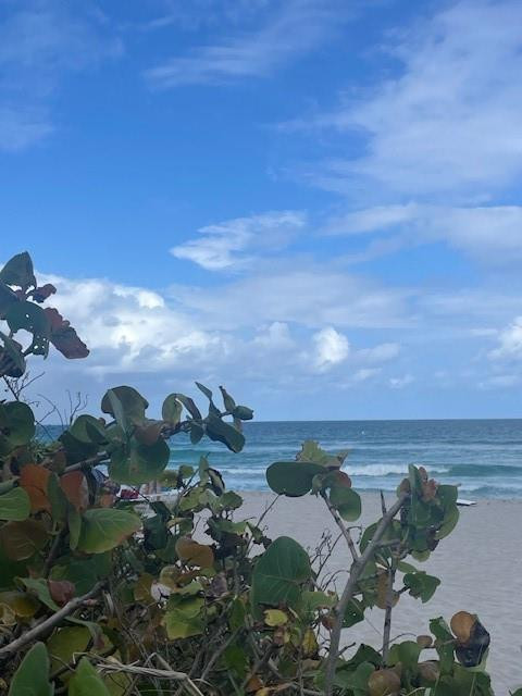 2080 OCEAN DRIVE CONDO - Residential