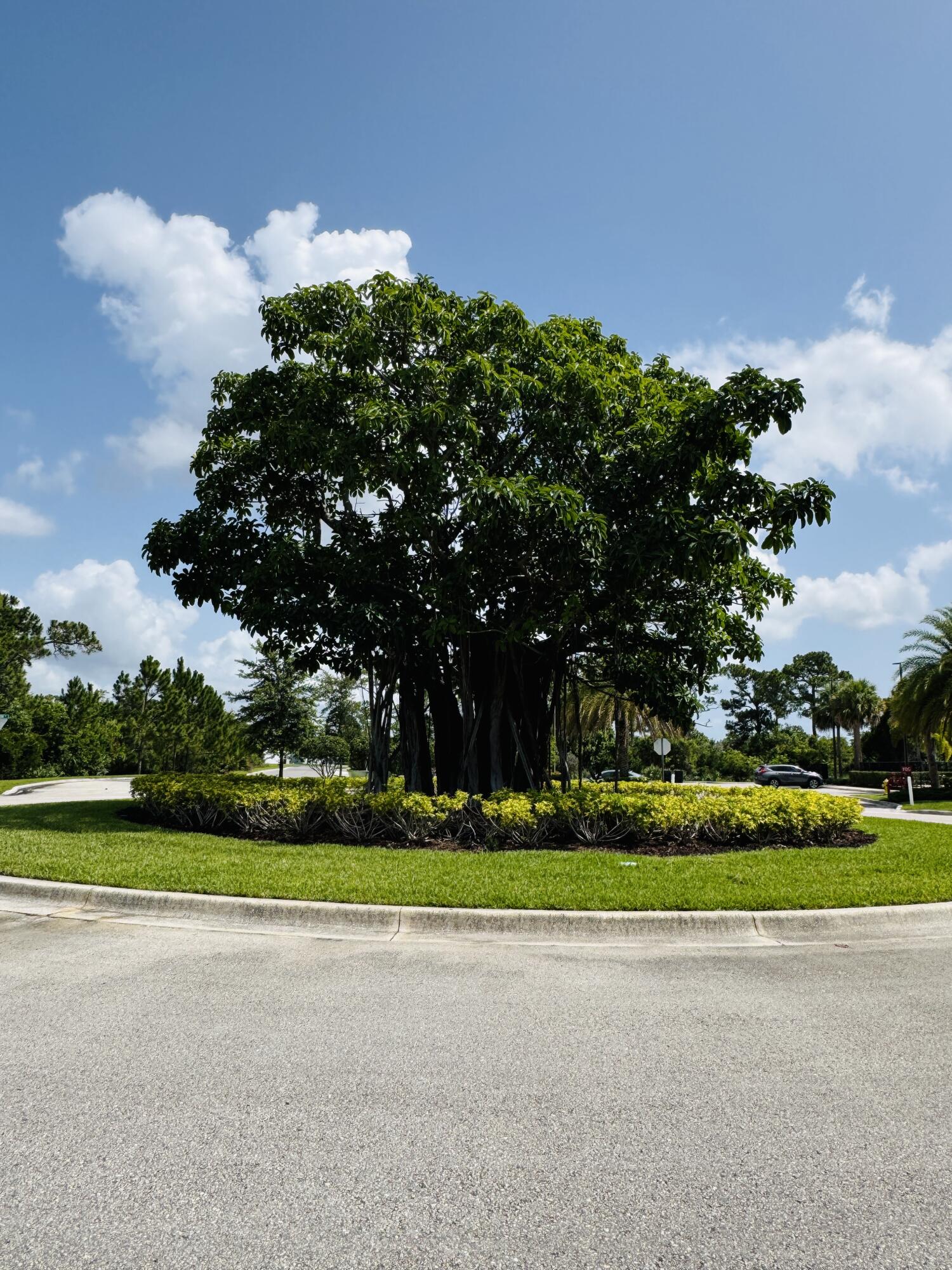 163 SW Pomeroy Street