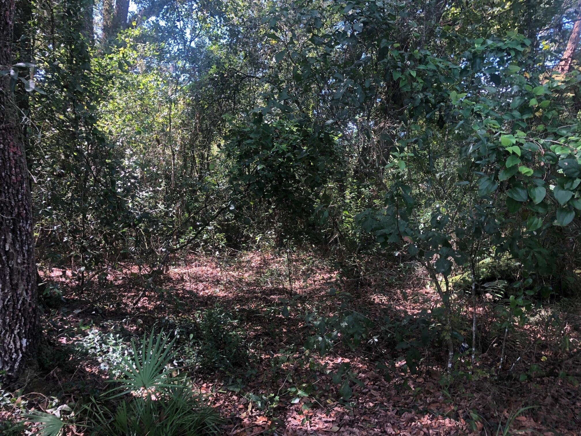RB28 Rancho Bonito - Land