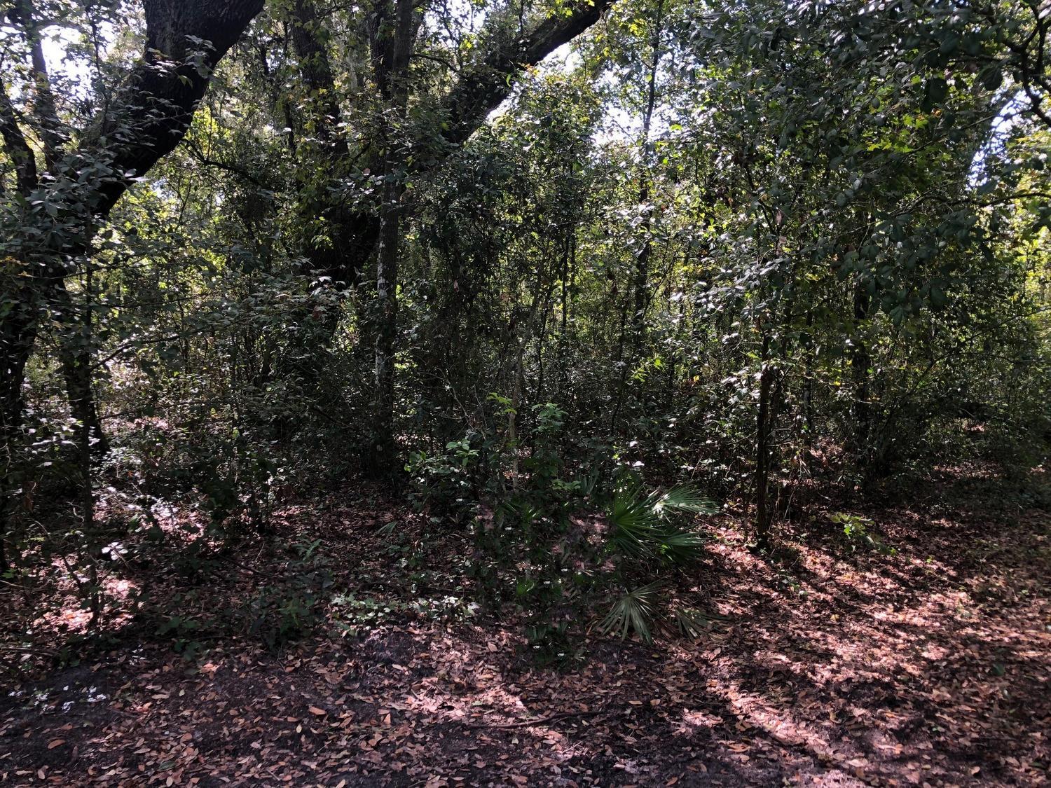 RB28 Rancho Bonito - Land