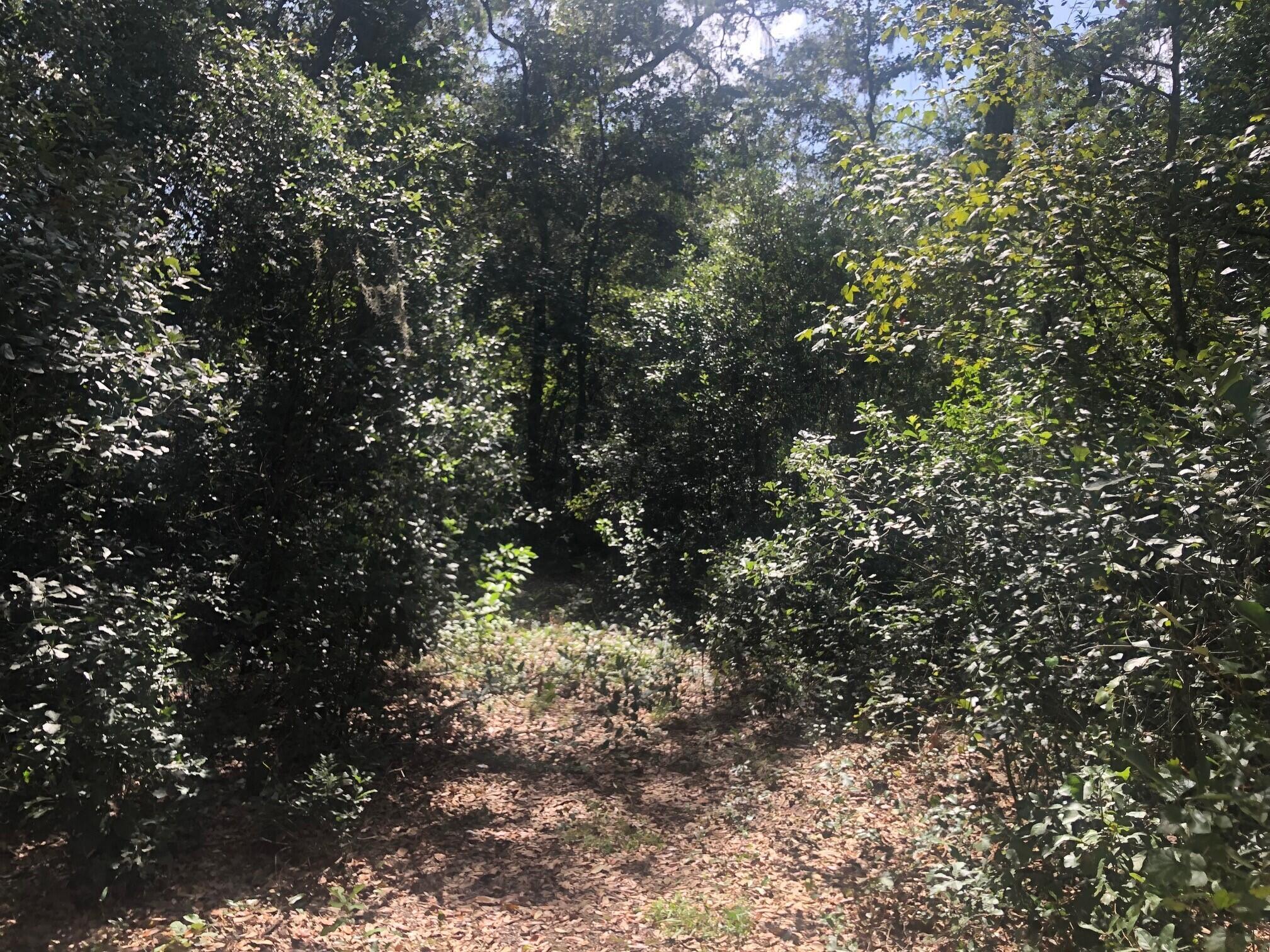 RB28 Rancho Bonito - Land