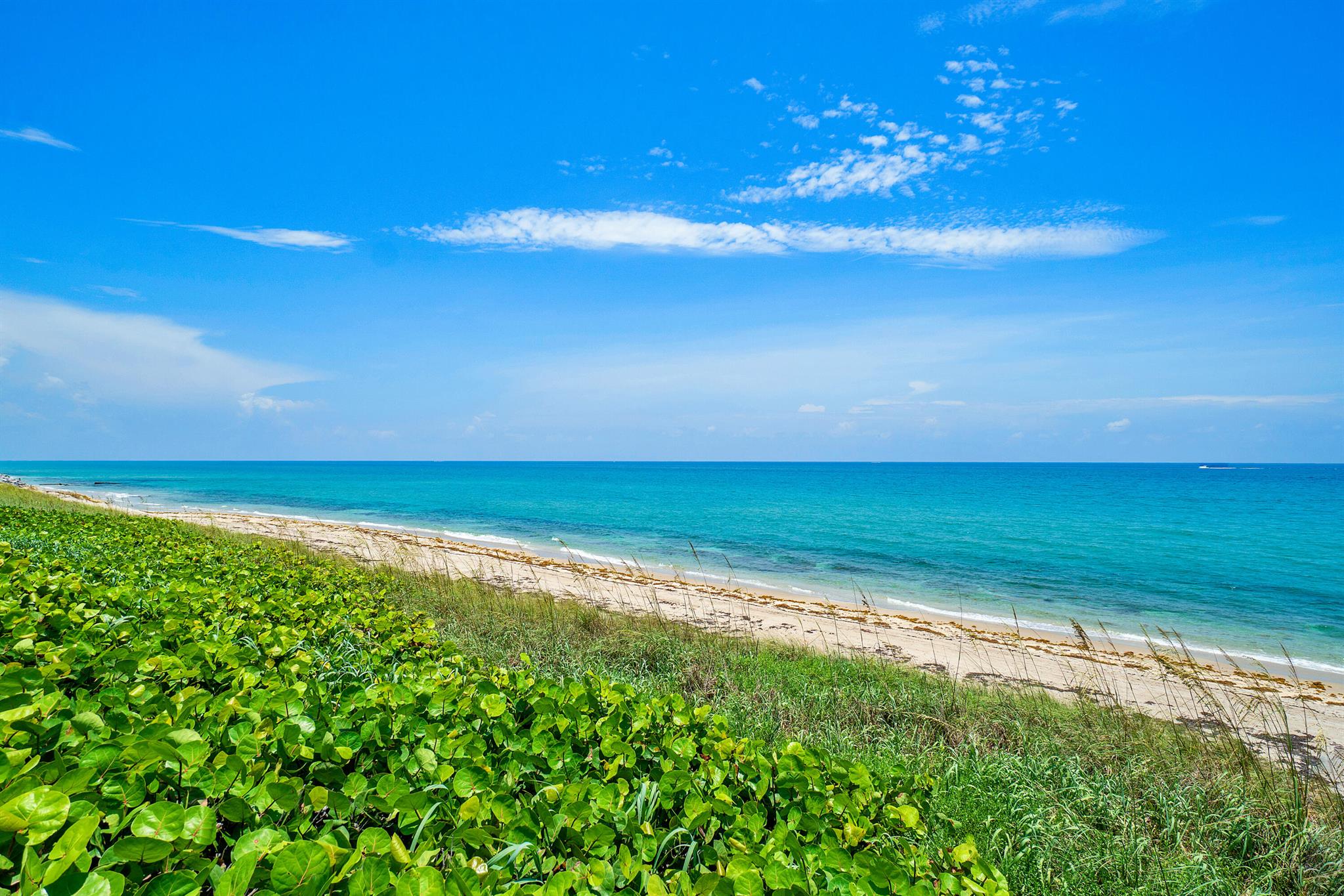 Sloans Curve II - Residential