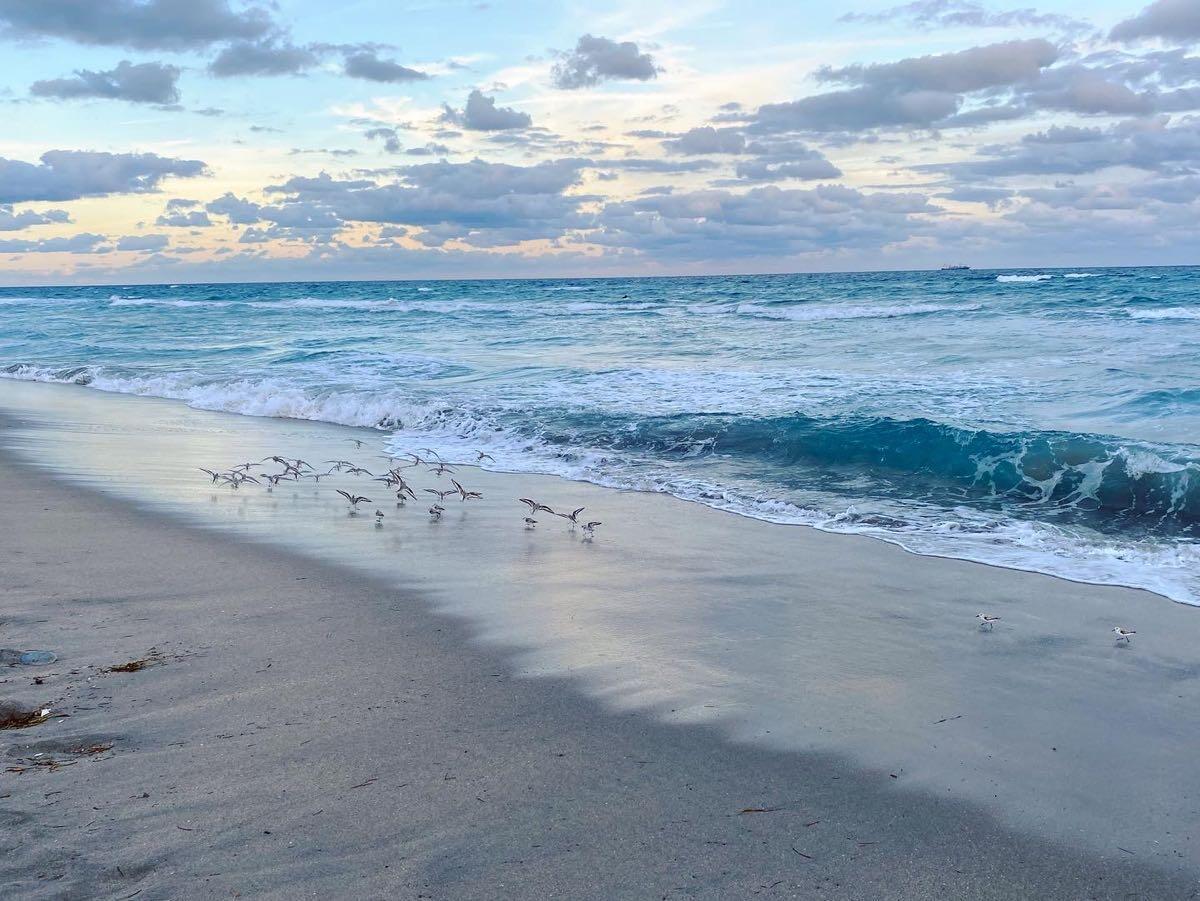 BOCA RATON SQUARE - Residential