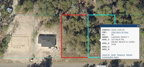 21 Guava Pass Ocklawaha FL 32179