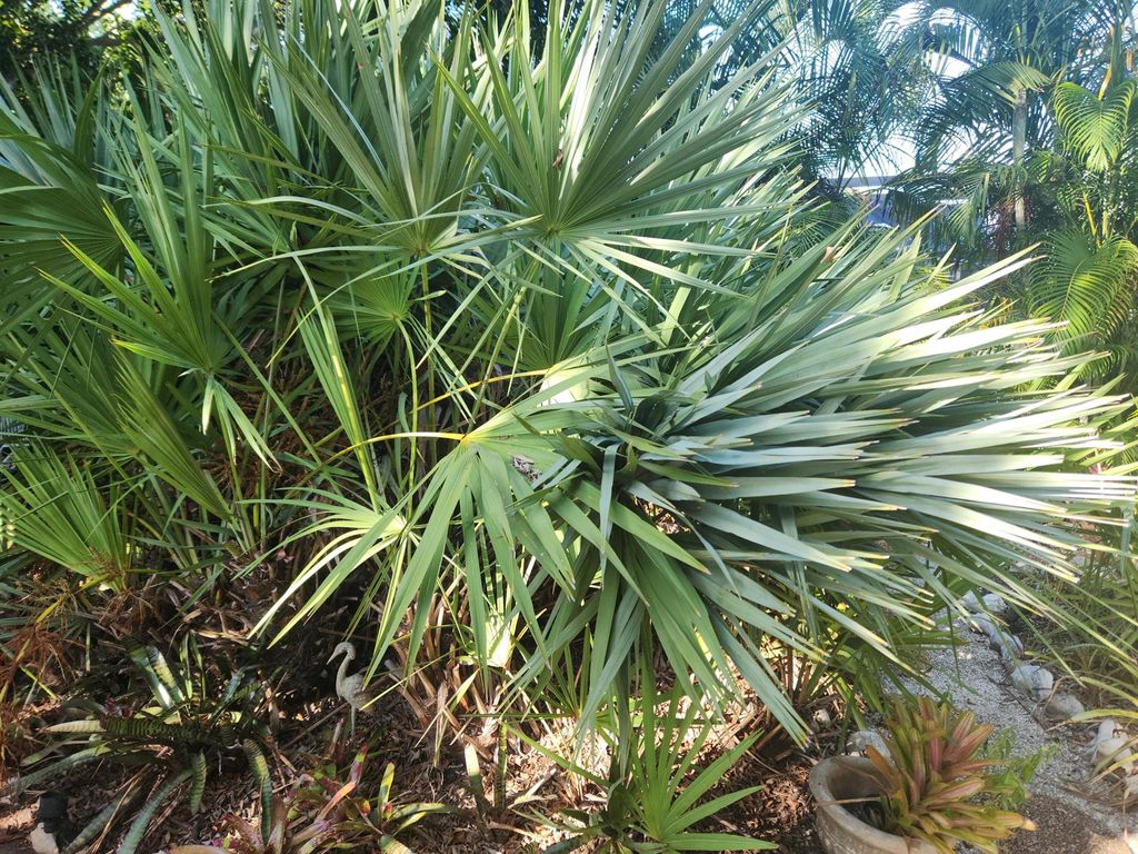 Photo of 910 Mckee Lane, Delray Beach, FL 33483 (MLS # R11090475)