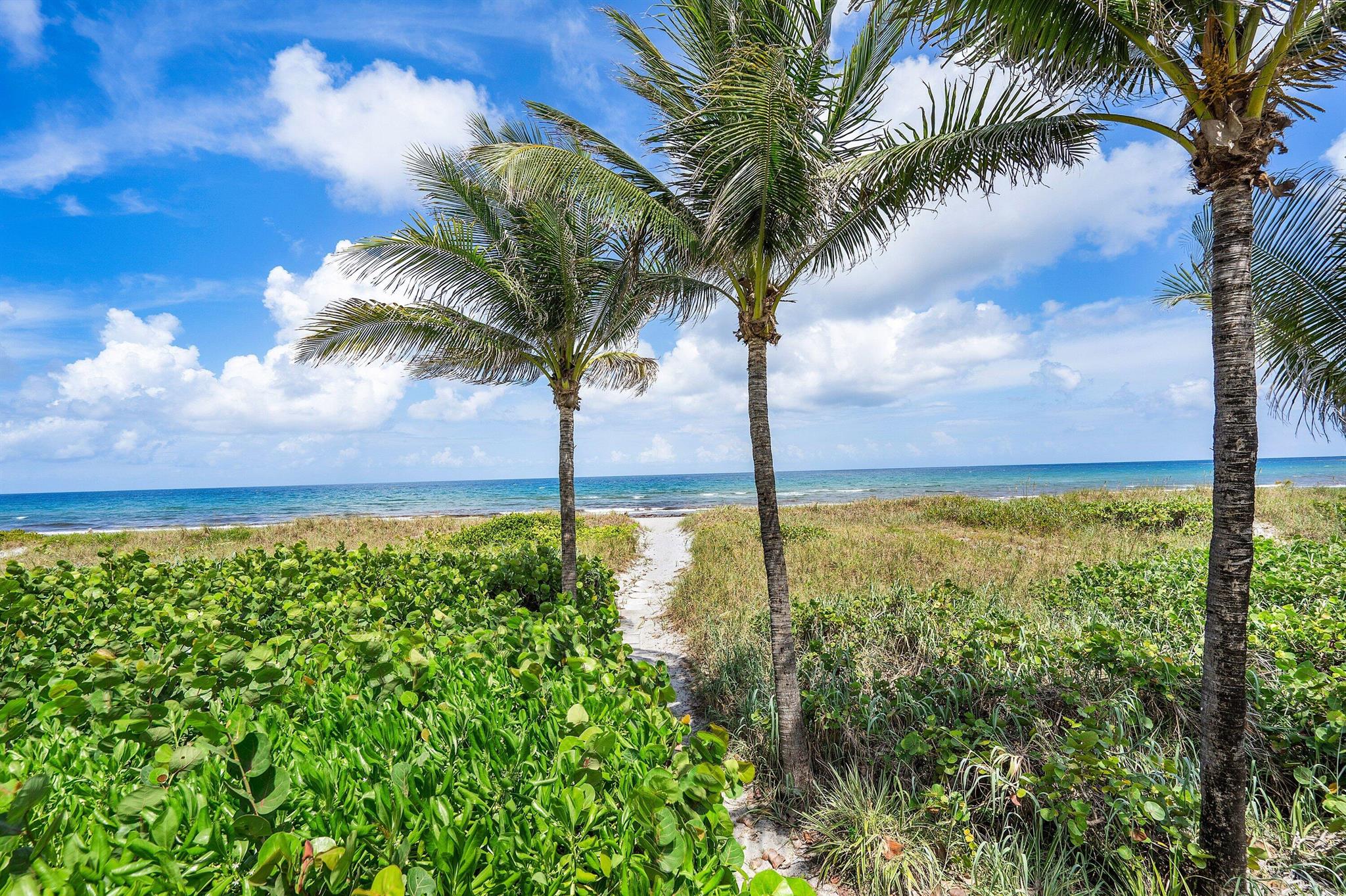 BERMUDA HIGH WEST - Residential