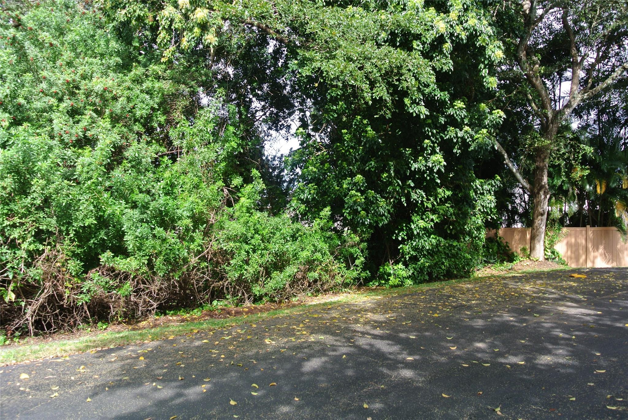 Courtyards of Plantation - Residential