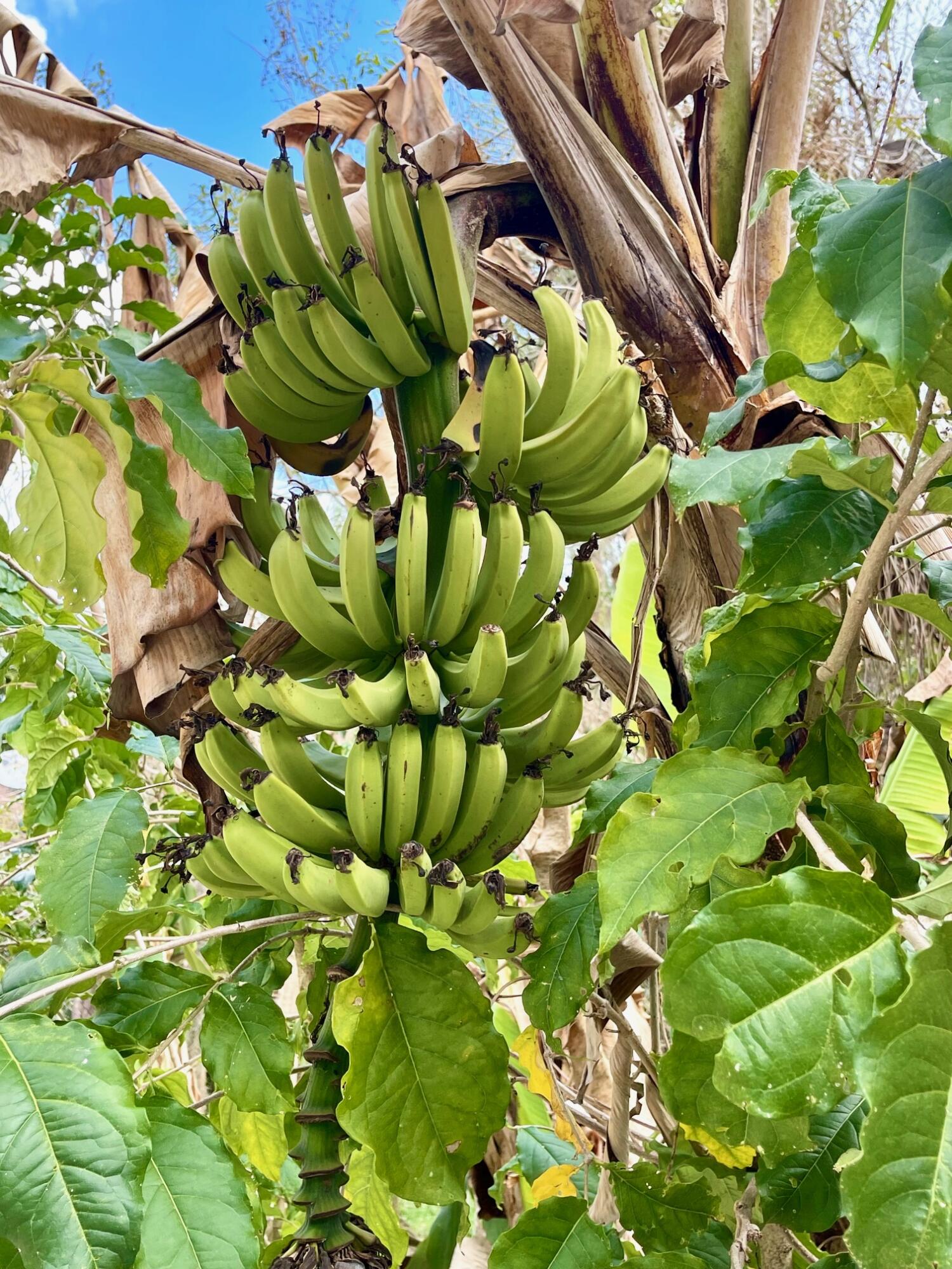 PALM BEACH COUNTYD PARK - Residential