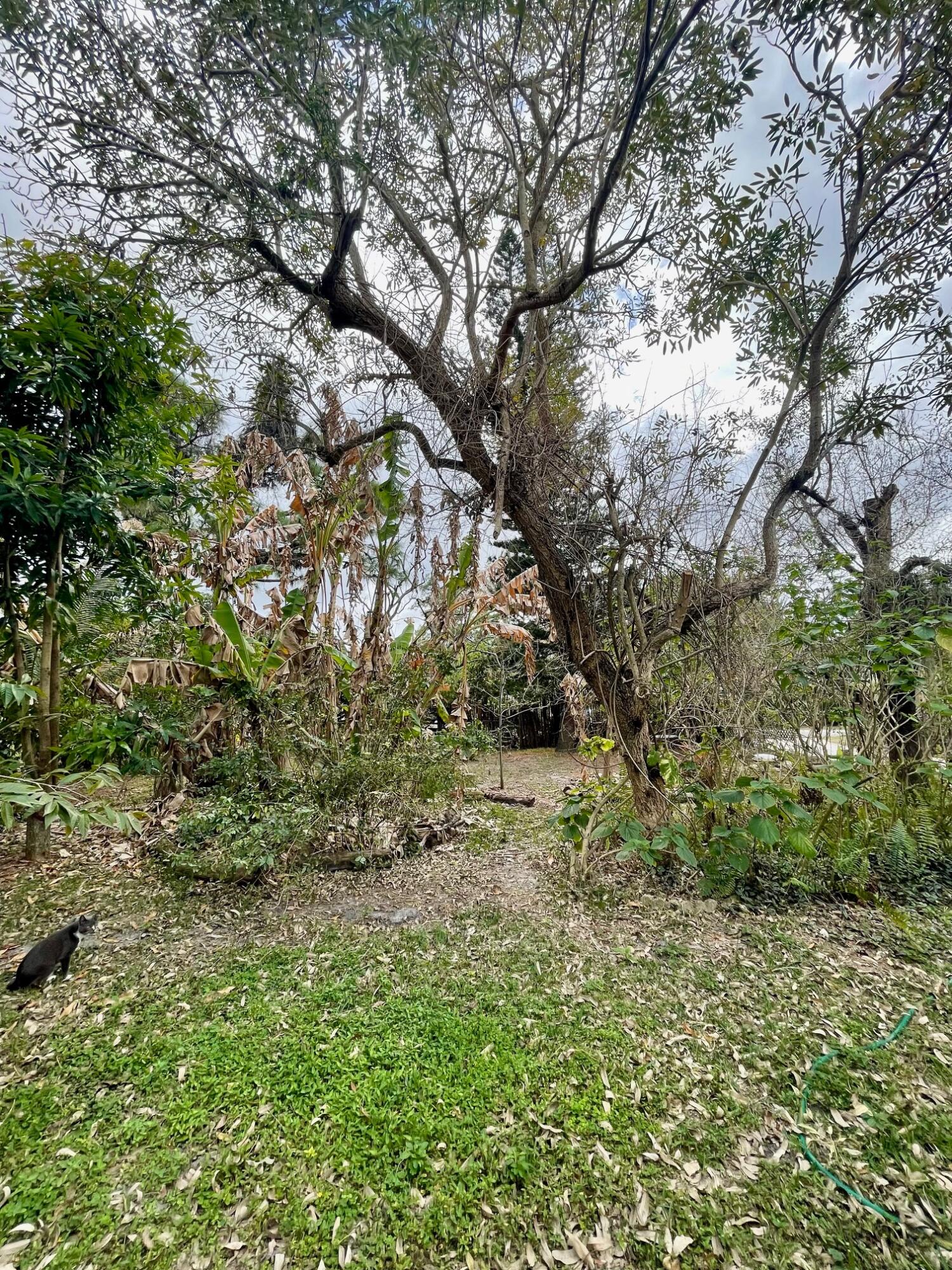 PALM BEACH COUNTYD PARK - Residential