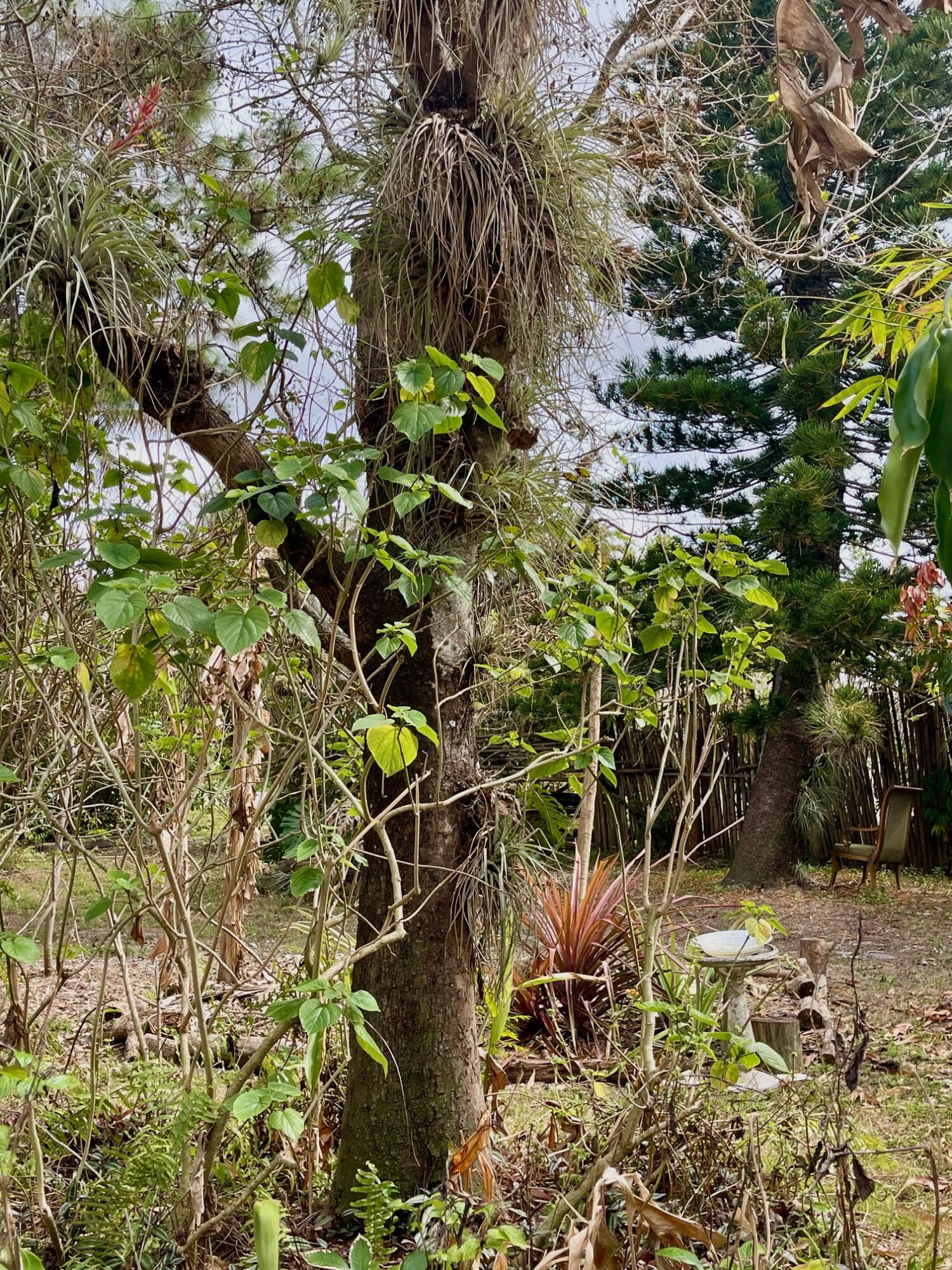 PALM BEACH COUNTYD PARK - Residential