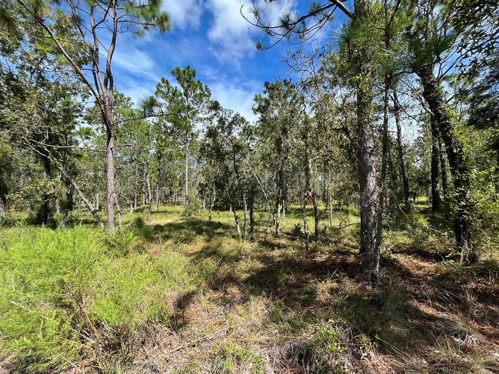 VERY NICE WOODED LOT TO BUILD YOUR DREAM HOME ON 1 Acre IN THE BEAUTIFUL COMMUNITY OF RAINBOW ACRES. IN AN AREA OF NEW HOMES. WITH A HOME ALEADY NEXTDOOR FOR EASY ACCESS TO POWER, BUT STILL VERY PRIVATE CONVENIENT TO DOWNTOWN DUNNELLON WHERE YOU WILL FIND RESTAURANTS, SHOPPING AND ANTIQUE SHOPS, OCALA, GAINESVILLE, CRYSTAL RIVER, GULF OF MEXICO AND THE BEAUTIFUL . Rainbow Springs State Park is just a short drive away where you can enjoy nature walks among the mature azaleas, bird watching, kayaking and swimming at the head of this pristine first magnitude spring. Whether your looking to build your dream home or purchase as a future investment this property checks all the boxes. owner financing available.