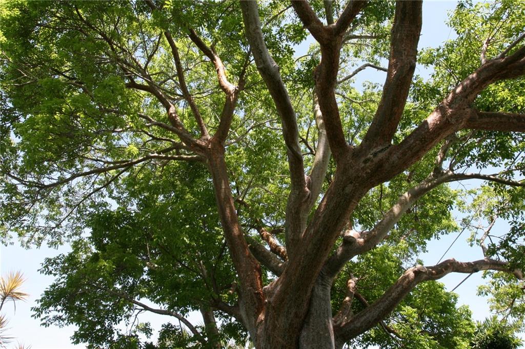 Palm Beach Cabana Colony - Residential