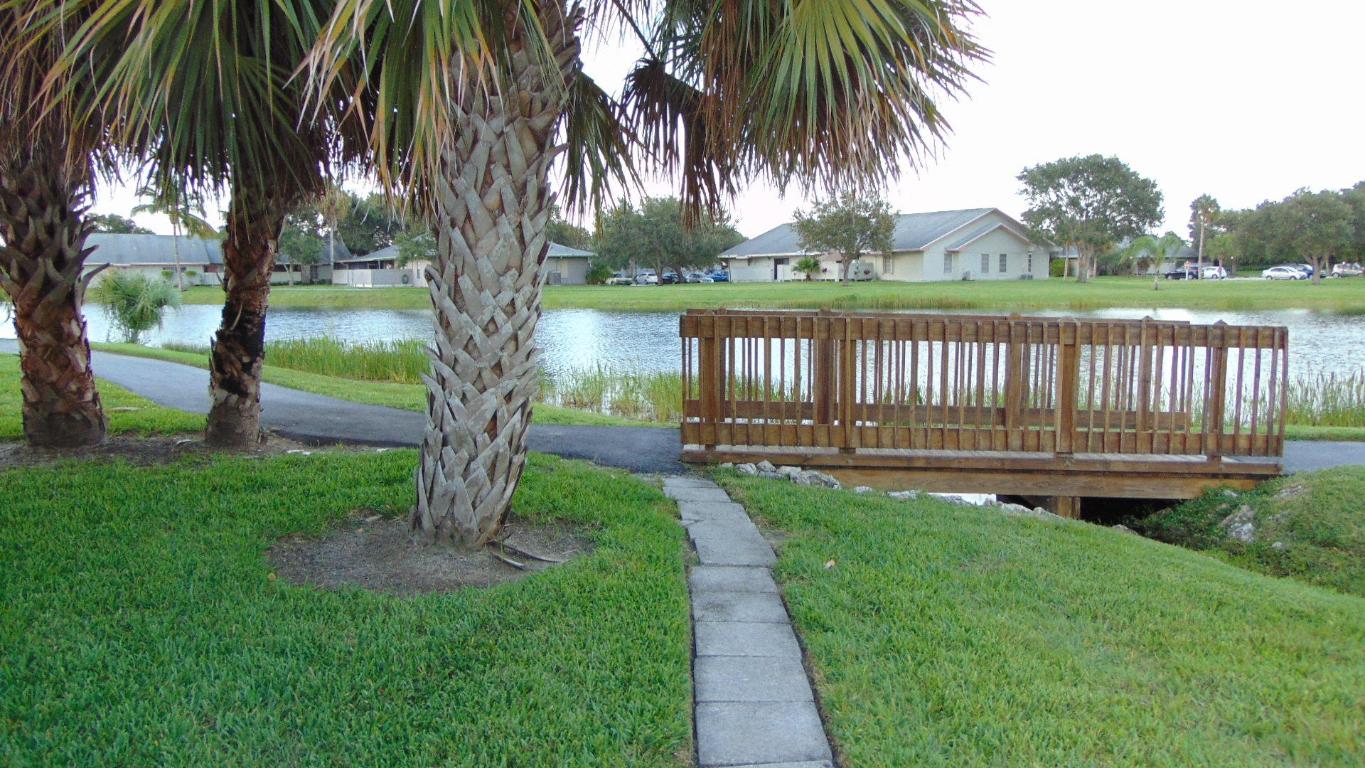 CINNAMON TREE - Residential