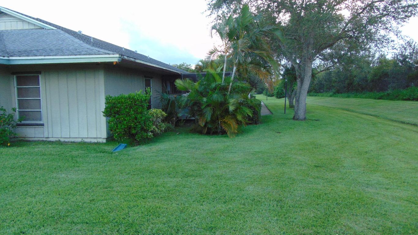 CINNAMON TREE - Residential