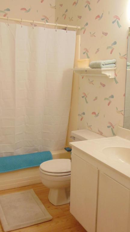 CINNAMON TREE - Residential