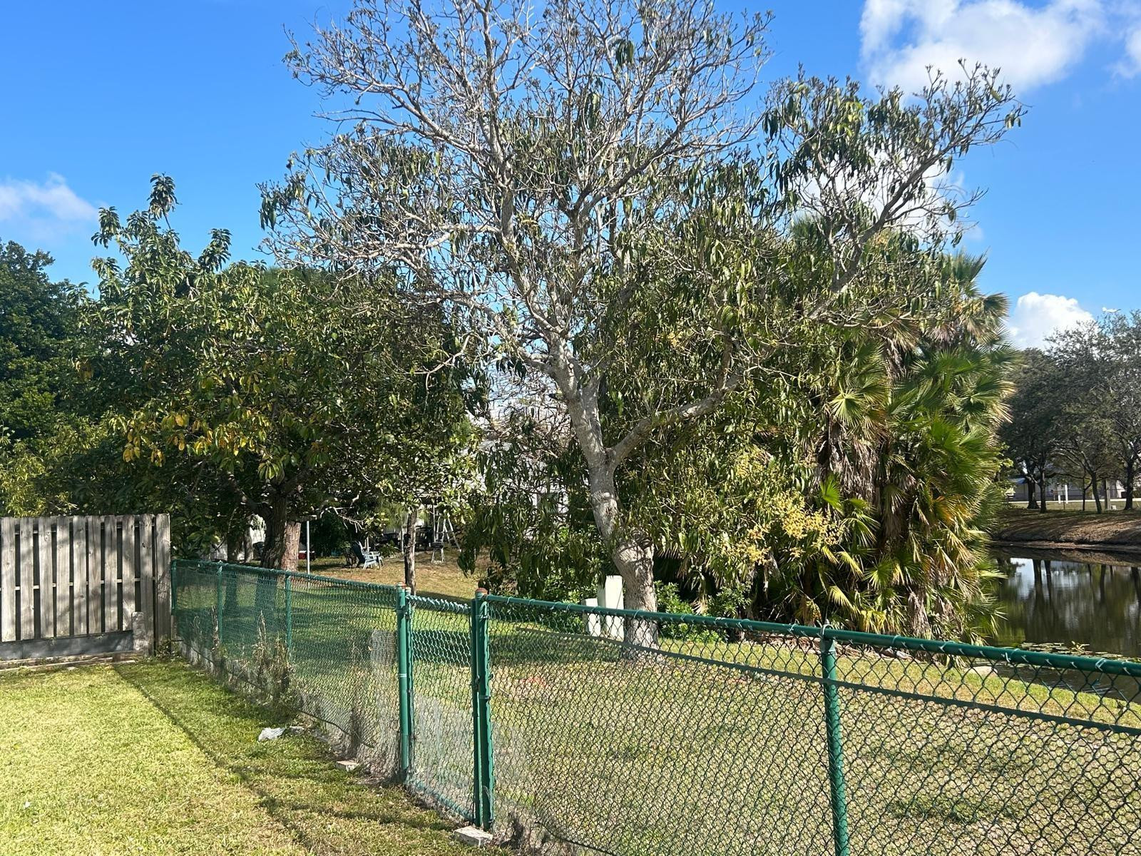 Cinnamon Place 1 121-26 B - Residential