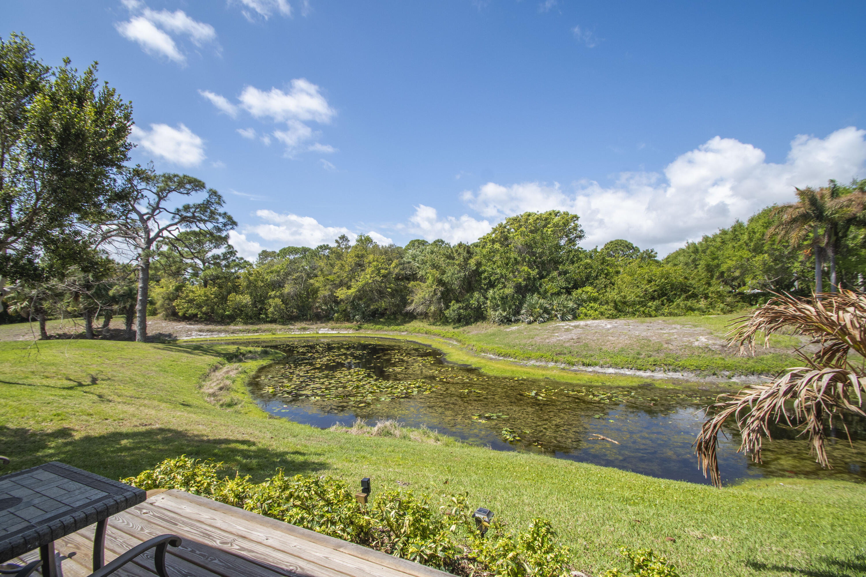Pinelake Village - Residential