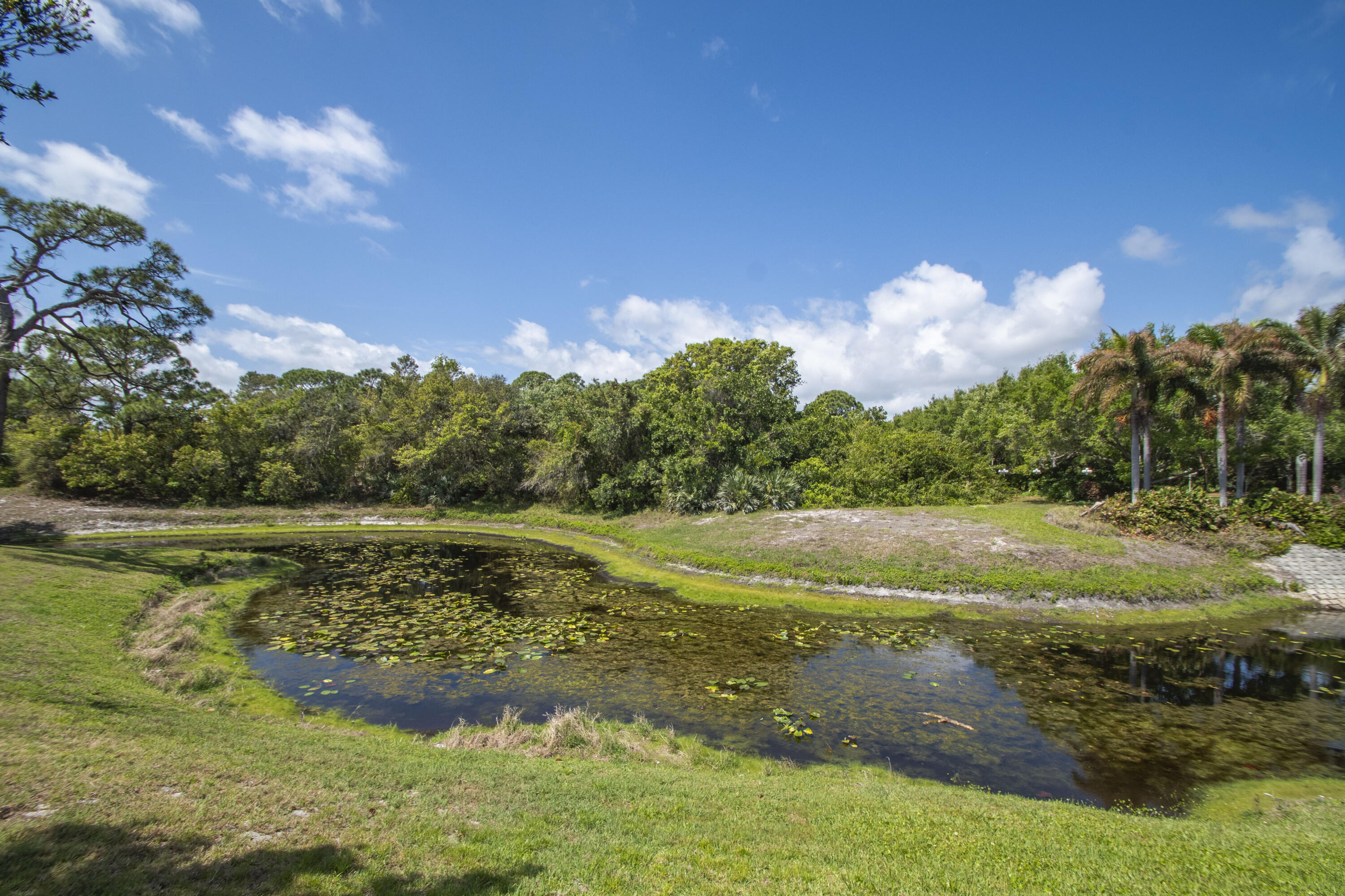Pinelake Village - Residential