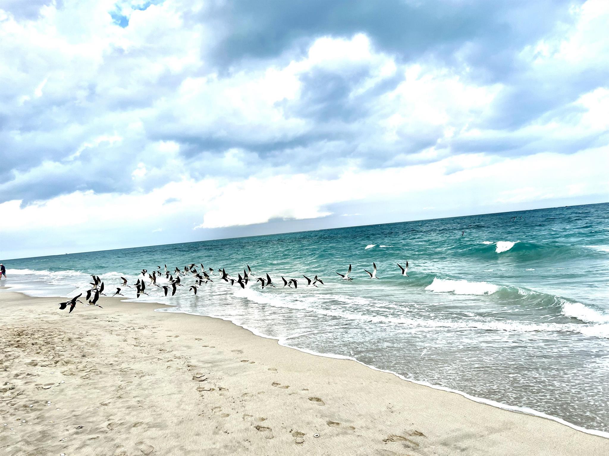 OCEANTREE CONDO - Residential Lease