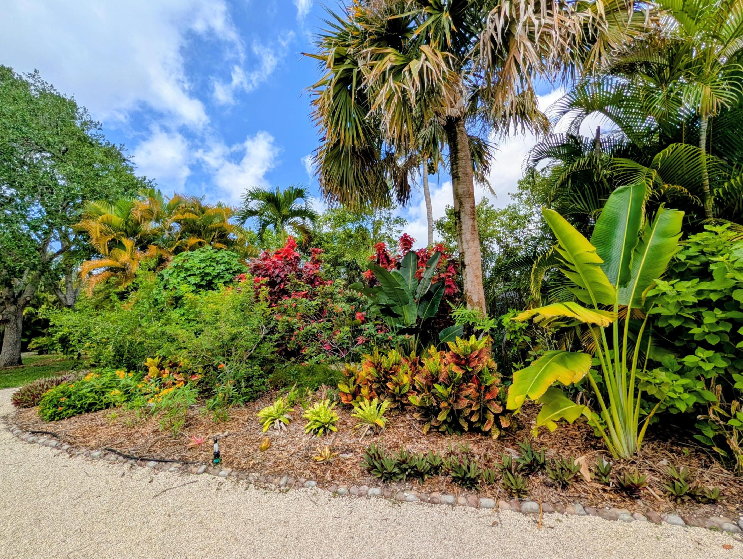 PALM BEACH RANCHETTES - Residential