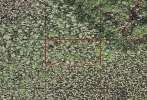 0 Holopaw Groves Road St Cloud FL 34772