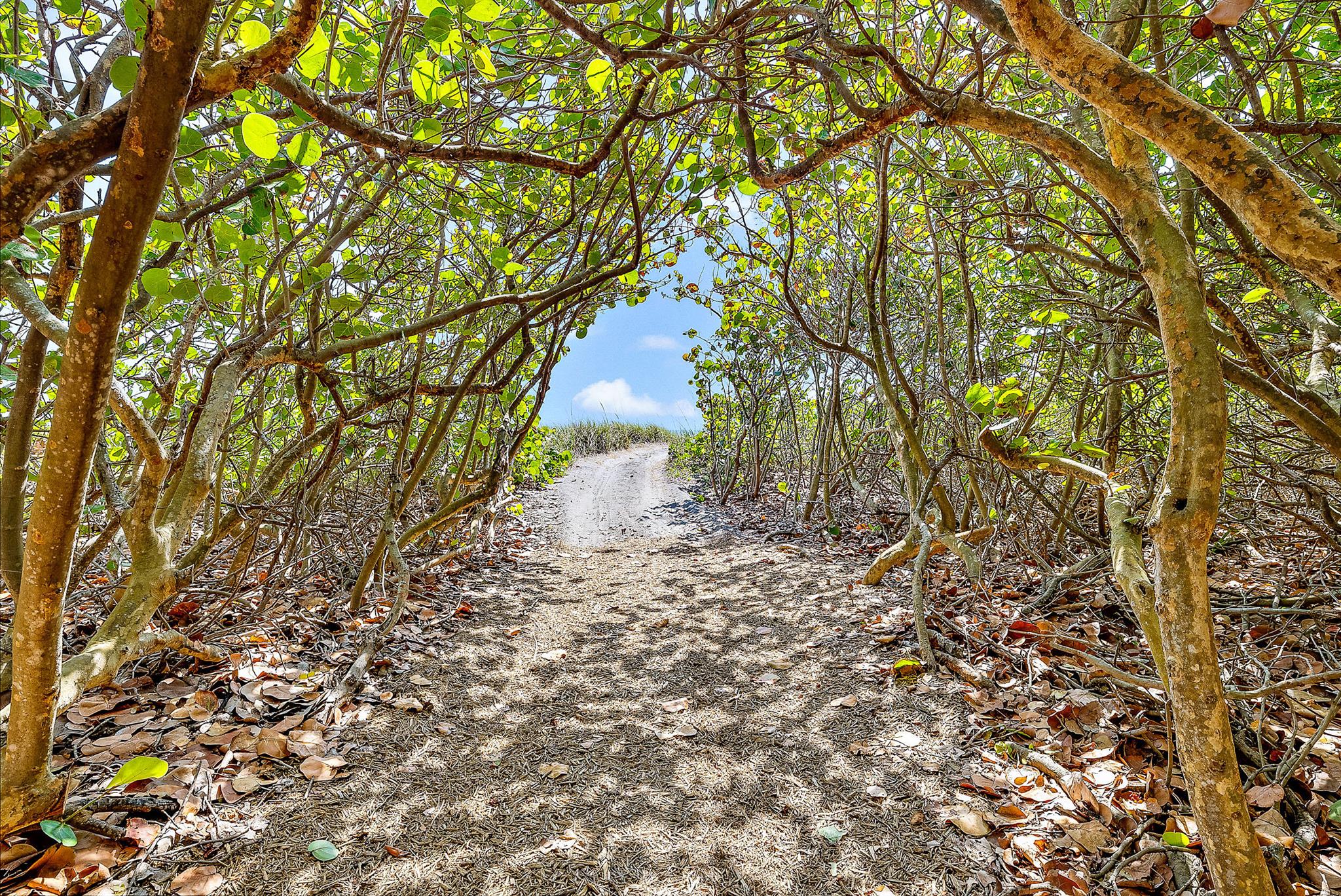 JUPITER ISLAND - Residential Lease