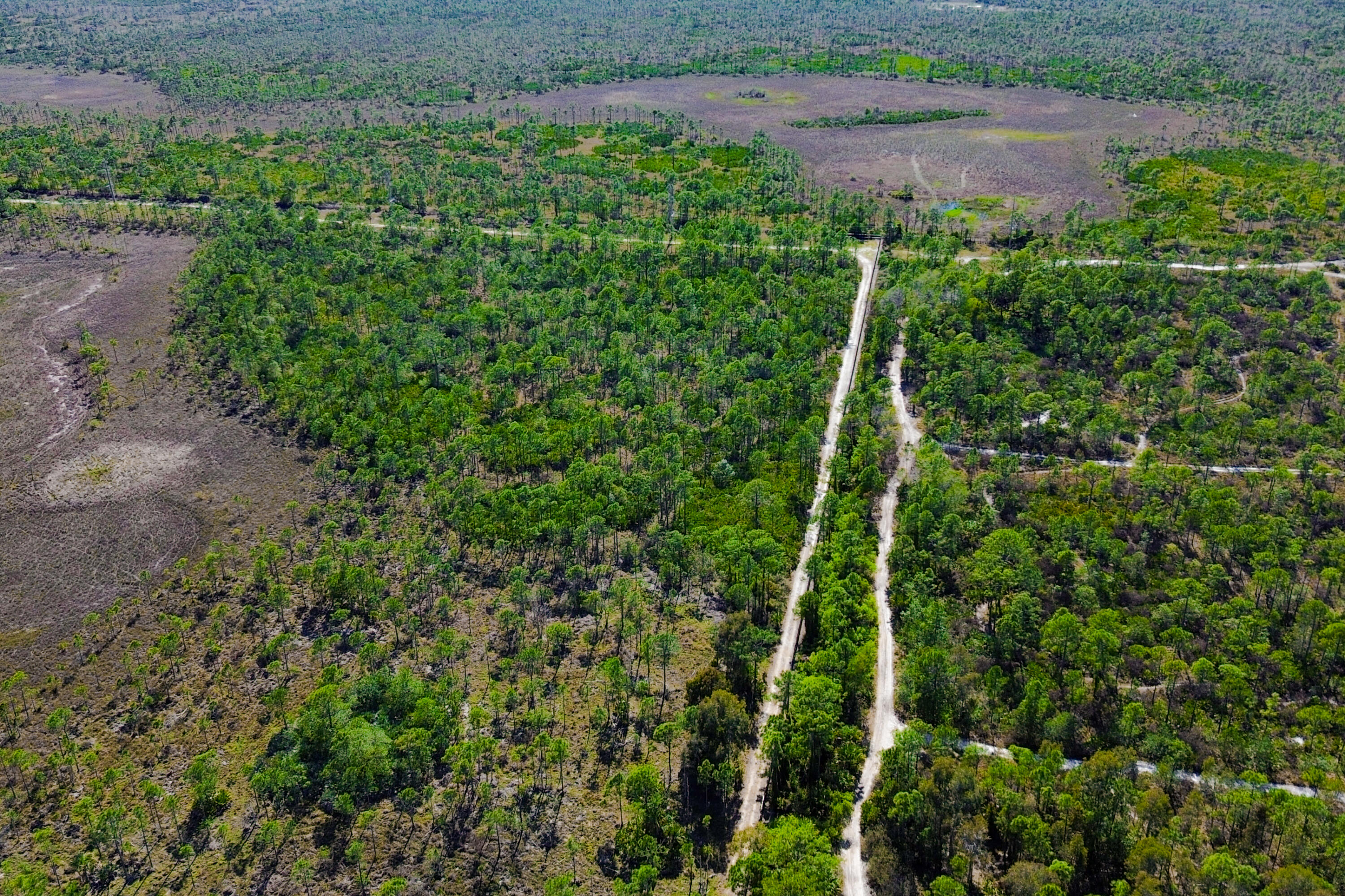 POINCIANA GARDENS - Land