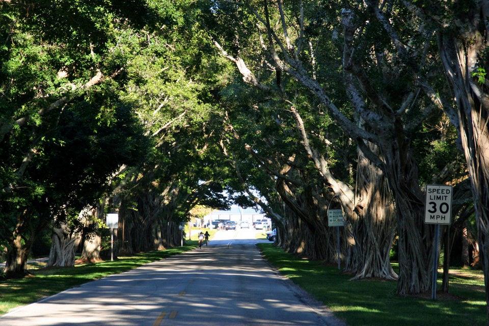 DOUBLE TREE PLAT 1 - Residential