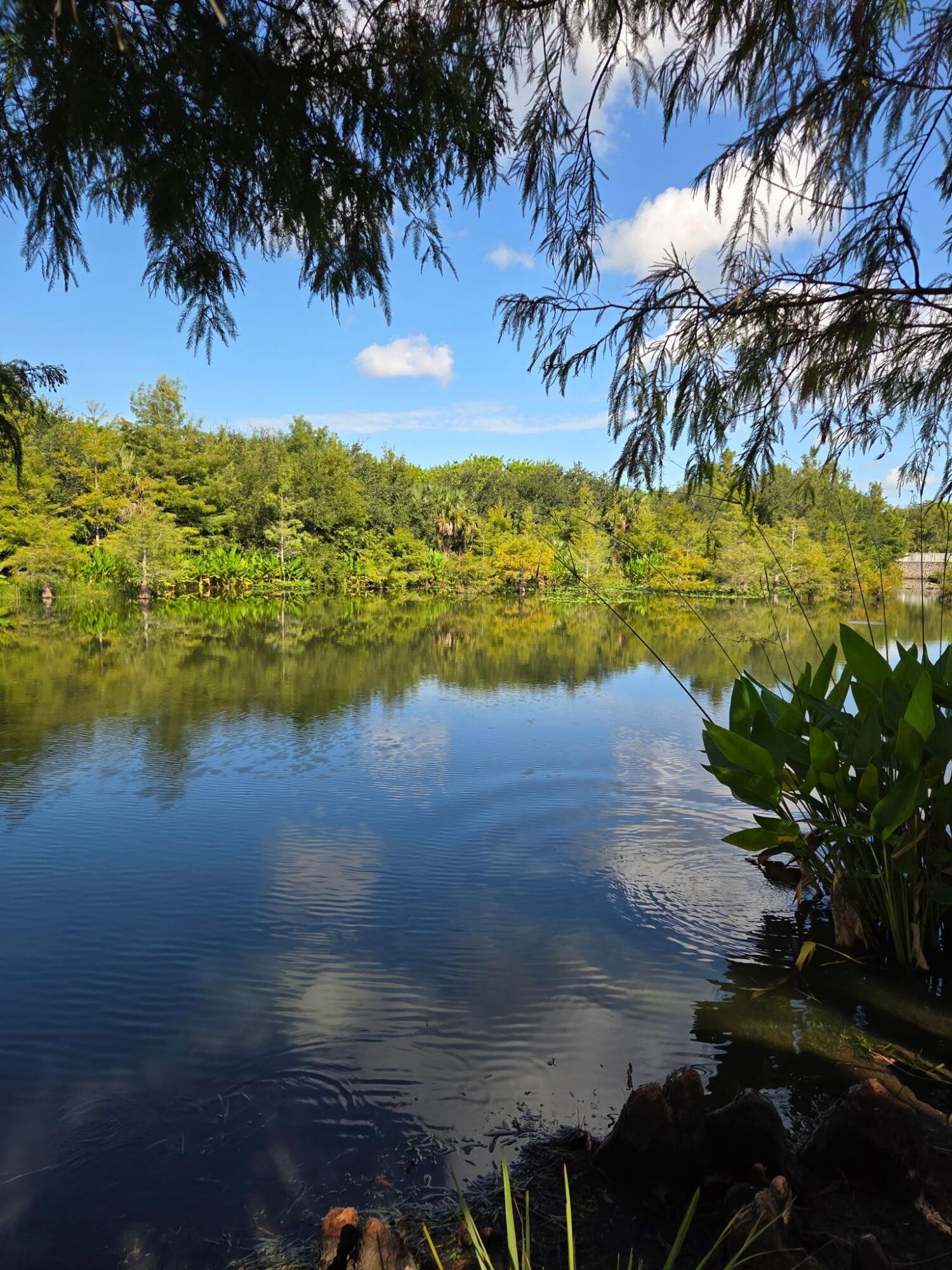 EAST LAKE VILLAGE NO 2 - Residential