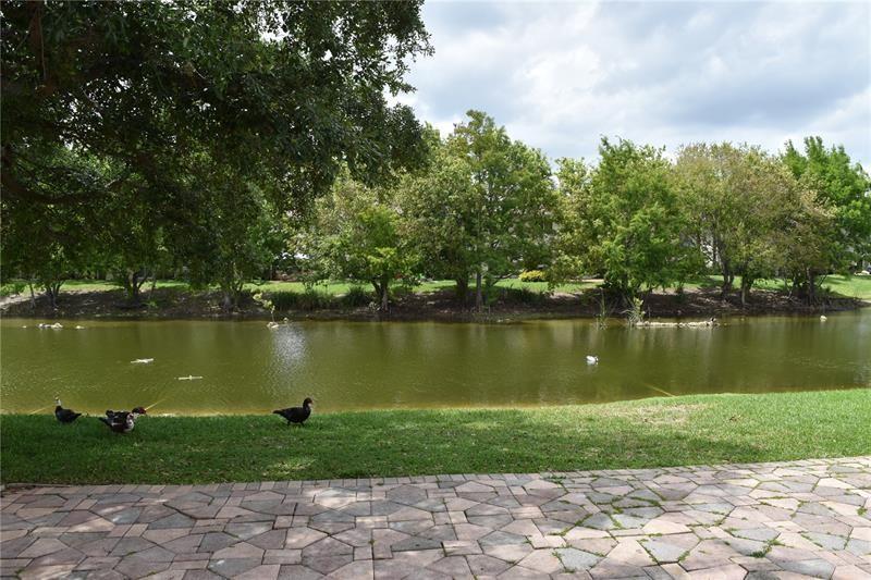 Walnut Creek Rep 1 168-18 - Residential Lease