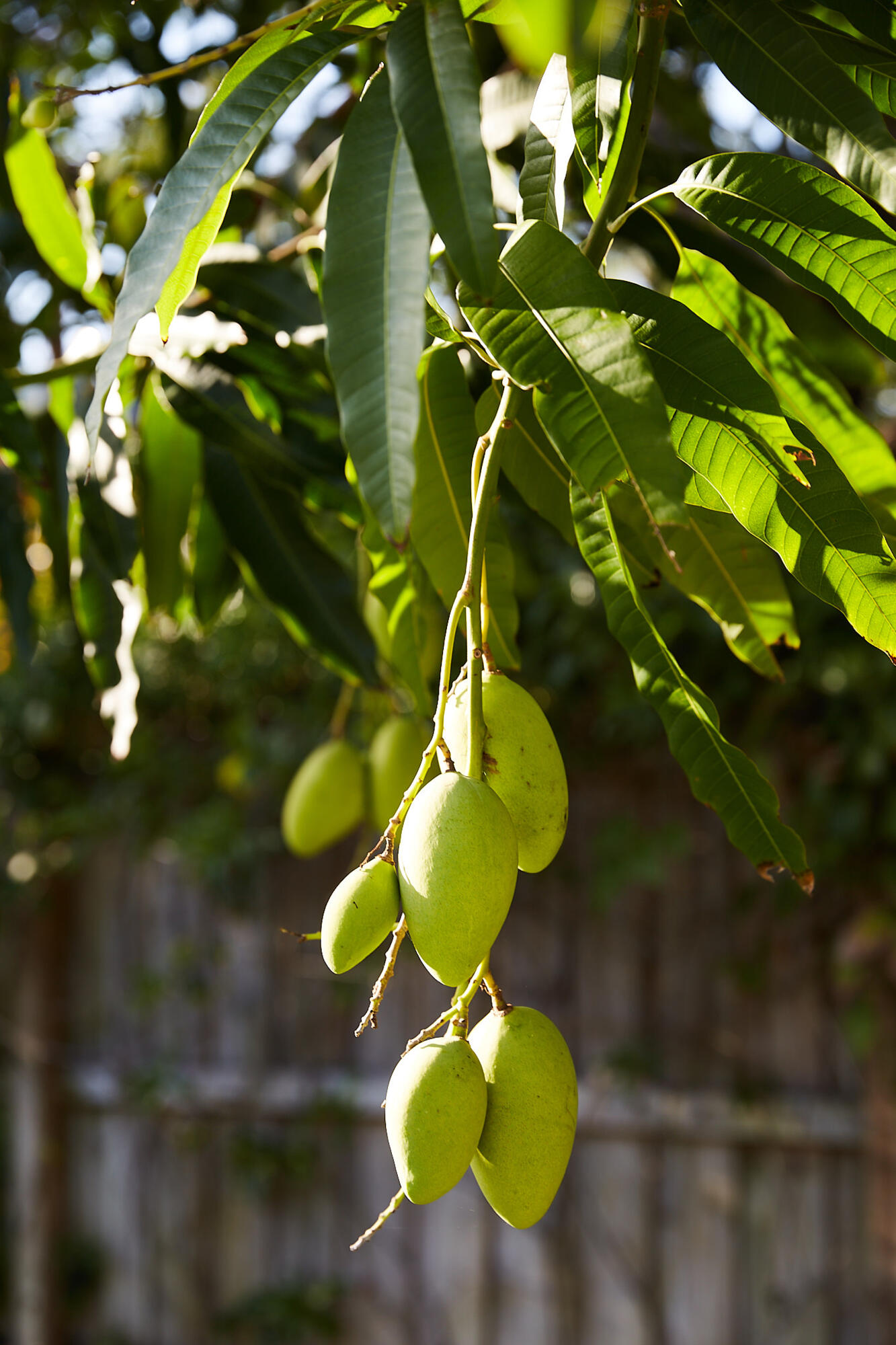 LAKE WORTH TOWN OF ADD 1 - Residential