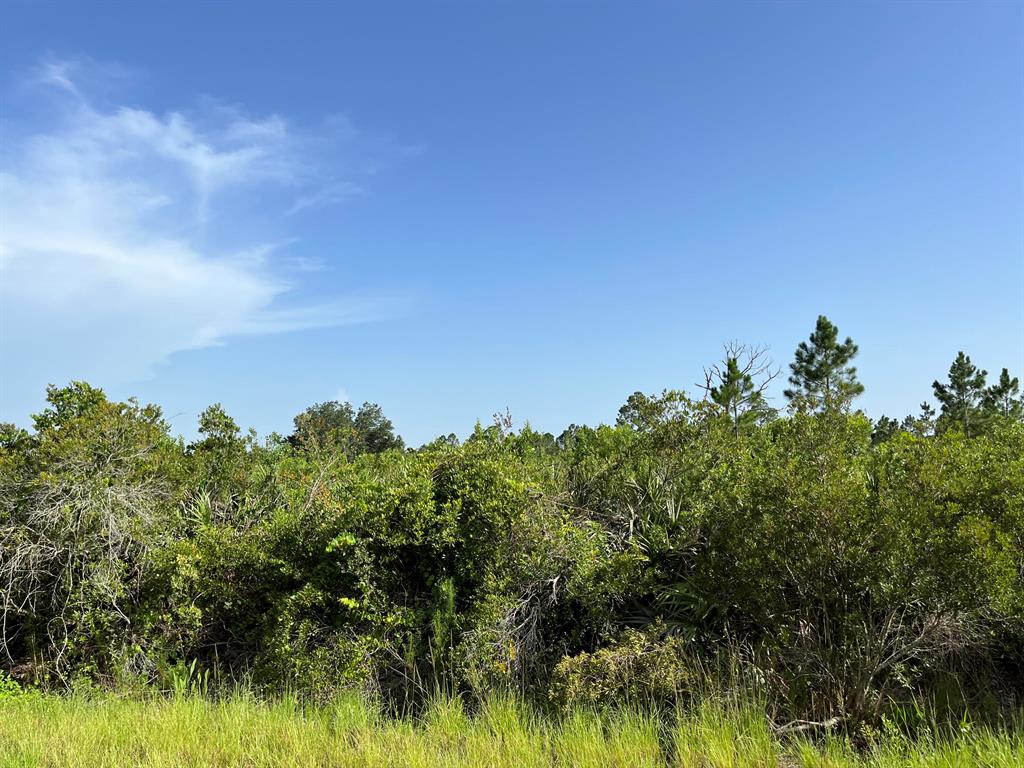 Build or bring your dream home and barn on this beautiful and private HIGH AND DRY semi clear 1.25-acre lot large enough so you can bring your animals too. With power poles on this street making it easy to put power at your new home has some of trees for privacy. There is so much to enjoy in Okeechobee County. Come to The Kissimmee River Preserve State Park West of this area as well is the Kissimmee River. The Kissimmee River flows into Lake Okeechobee and is well known for some of the best fishing. whether you like Fishing, hunting, mudding agriculture or just privacy here you have it all. Financing available