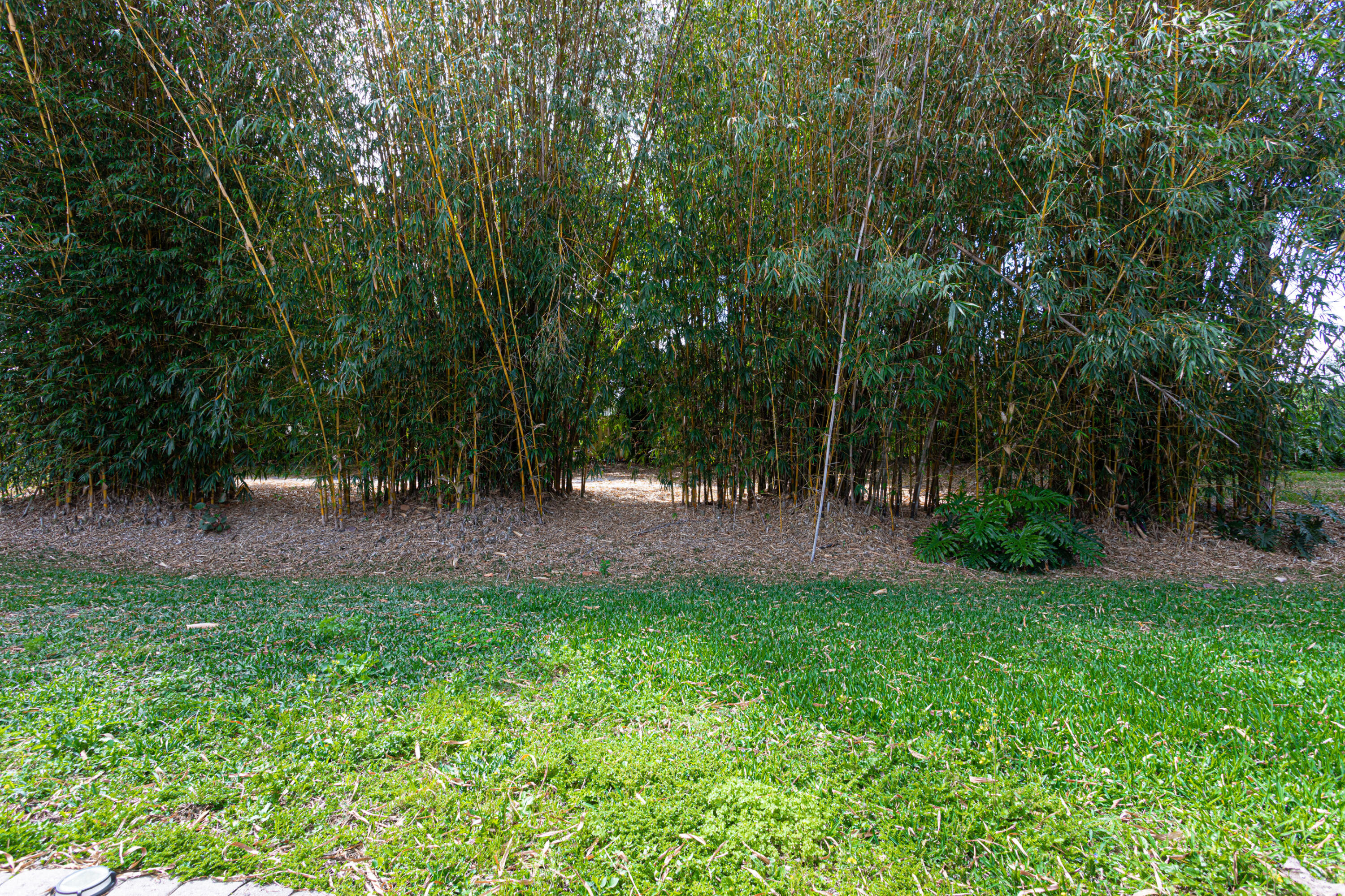 BLACK DIAMOND PH 1 - Residential