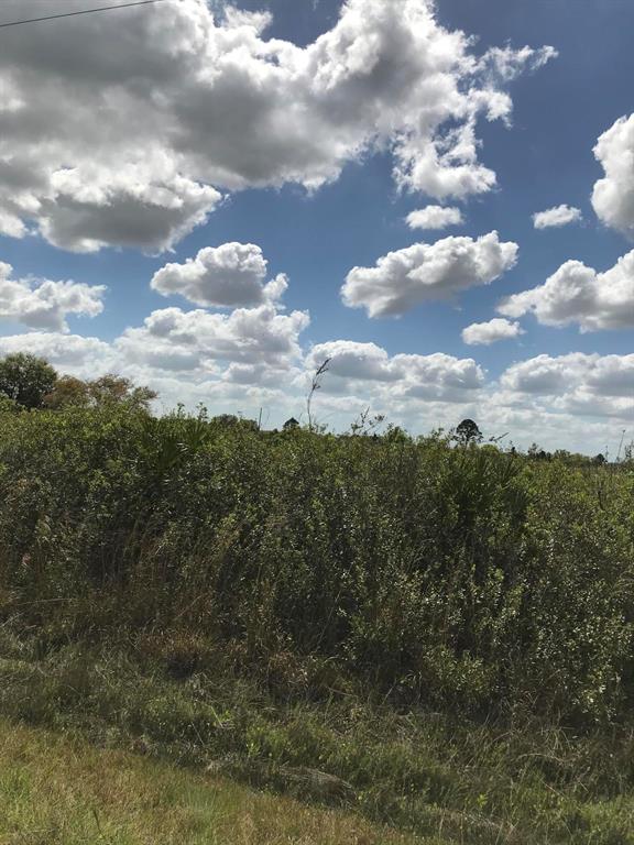 Southern ColonizationViki - Land