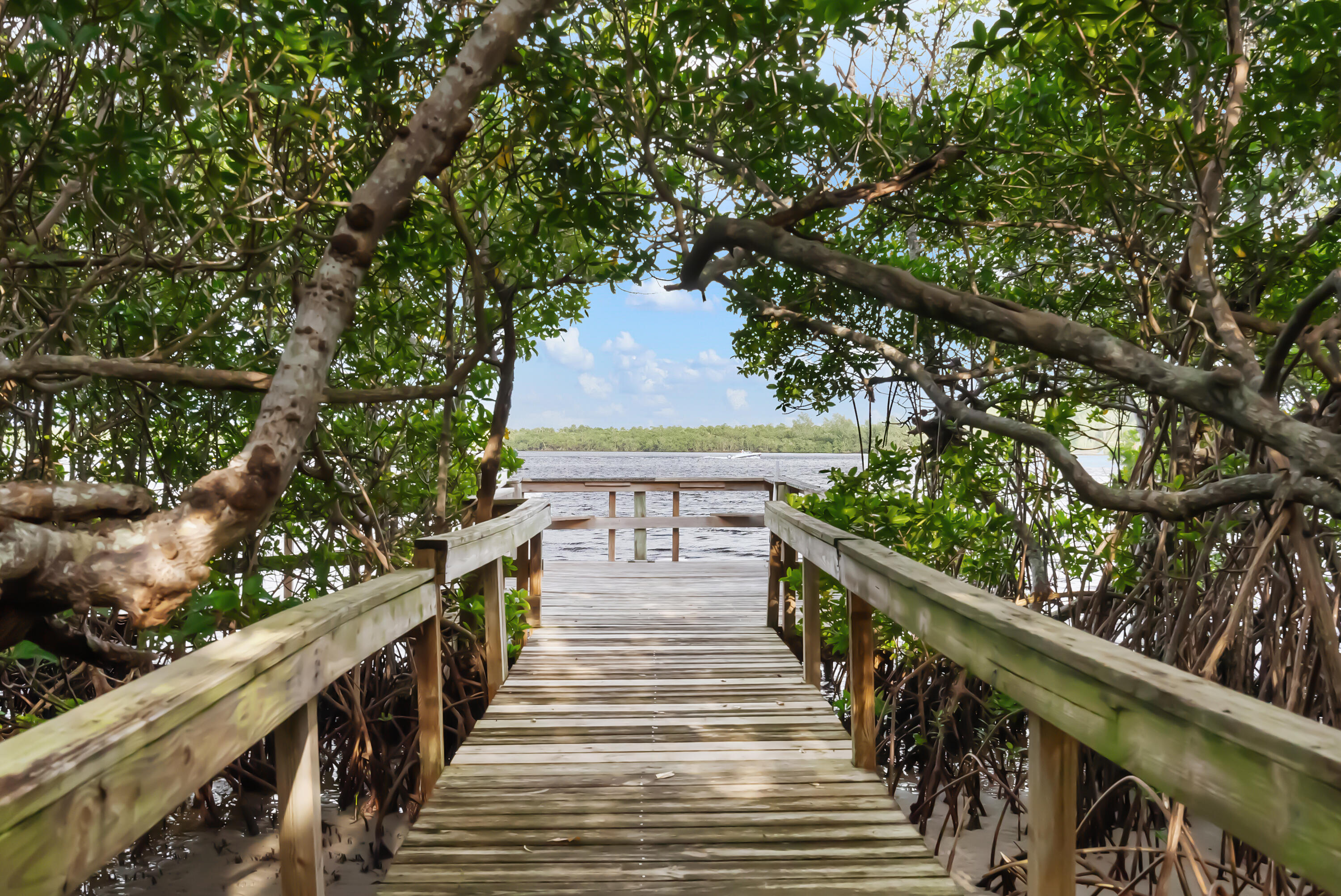 RIVER PINES - Residential