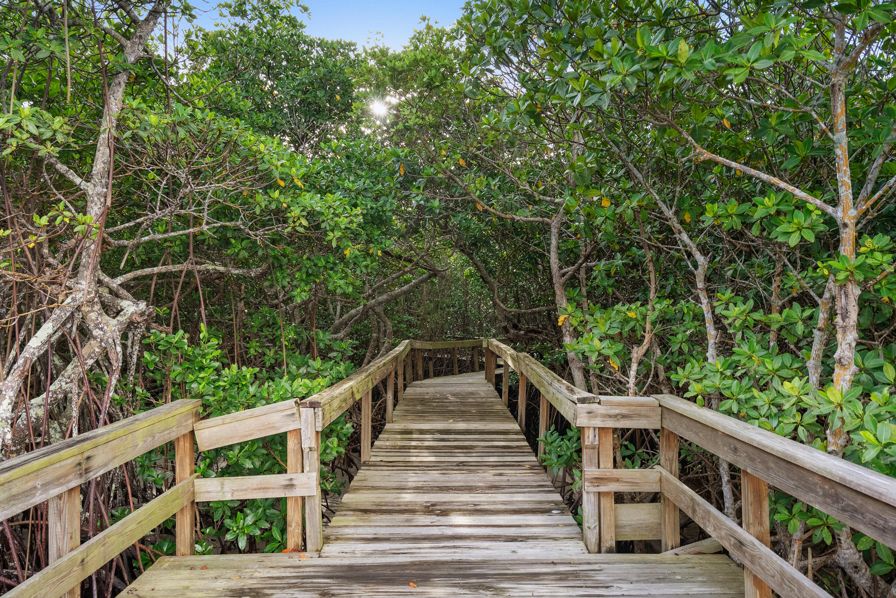 RIVER PINES - Residential