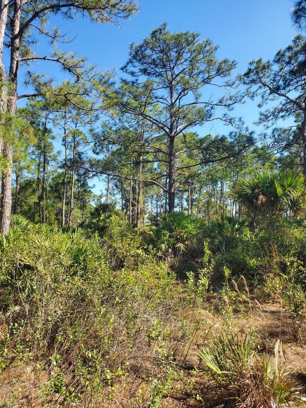 Photo of Unassigned Unassigned, Indiantown, FL 34956 (MLS # R10874743)