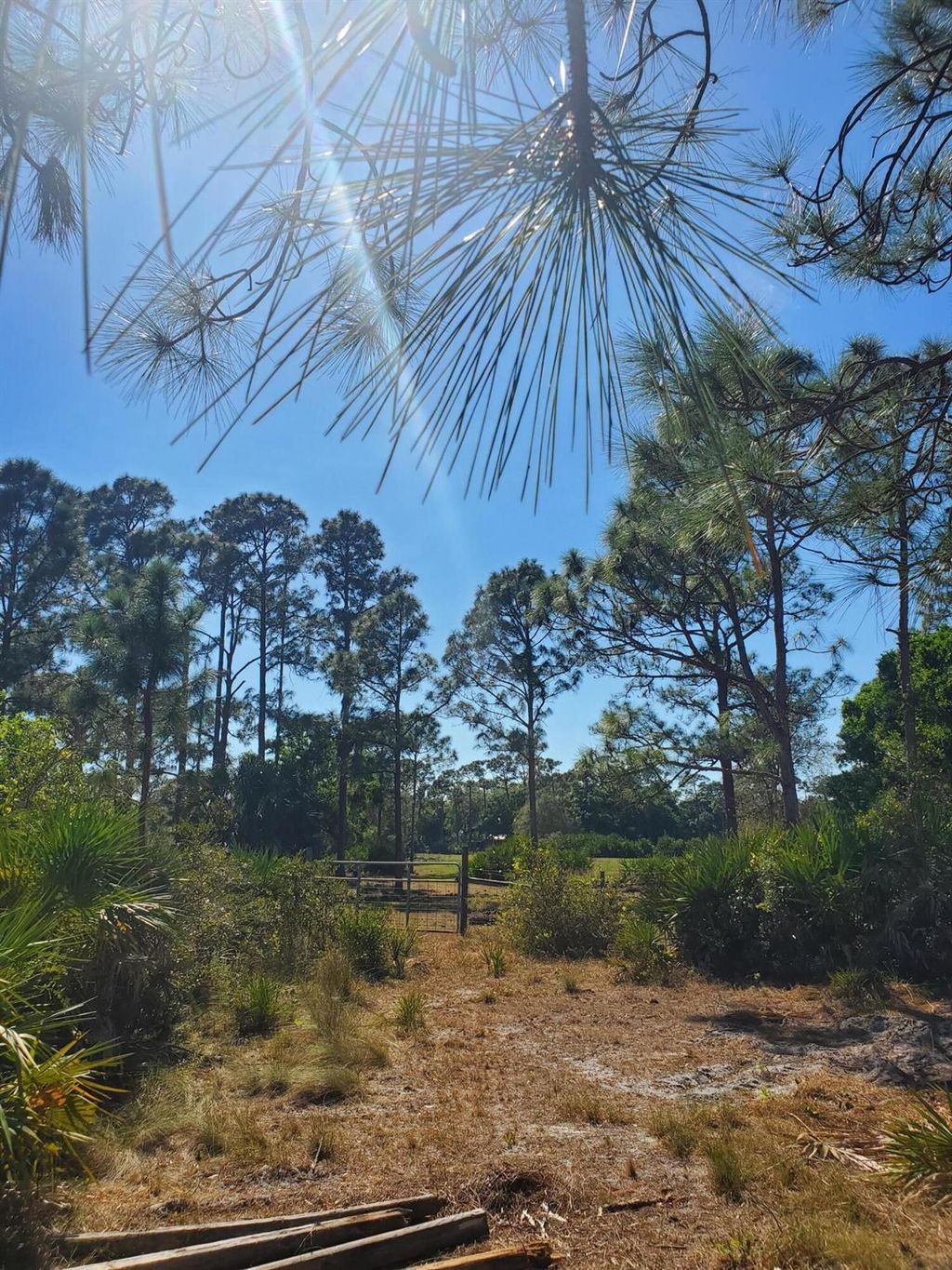 Photo of Unassigned Unassigned, Indiantown, FL 34956 (MLS # R10874743)