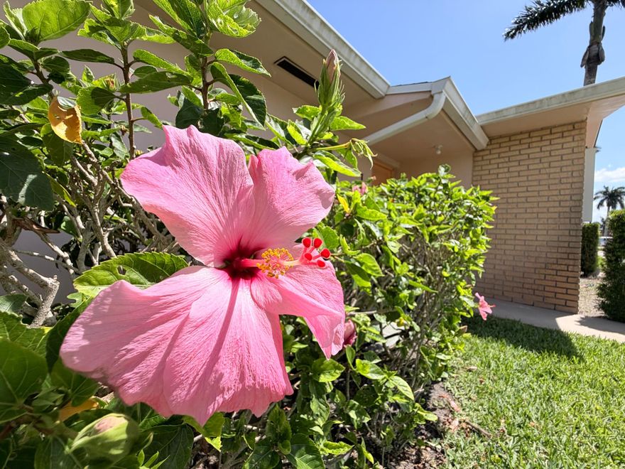 HOME SWEET HOME! Enjoy your retirement in sunny south Florida in this beautiful condo nestled in the highly desired Cresthaven Villas, an adult community. This 1/1 end-unit condo is on the first floor with all tile flooring. Featuring an updated kitchen with new stainless steel appliances, and an updated bathroom! With a fully enclosed patio complete with accordion hurricane shutters. There is also a storage closet on the enclosed patio. And outside is a tile patio to soak up some Florida sun! And new central air and central heating system. No pets. Cable and water are included! Cresthaven Villas offers numerous amenities to residents including a community pool, shuffleboard, bocce ball, clubhouse, onsite laundry facilities, fitness center, a sauna, and library. Schedule your tour today!