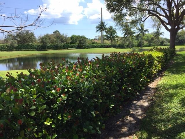 Polo Club/Catalina - Residential